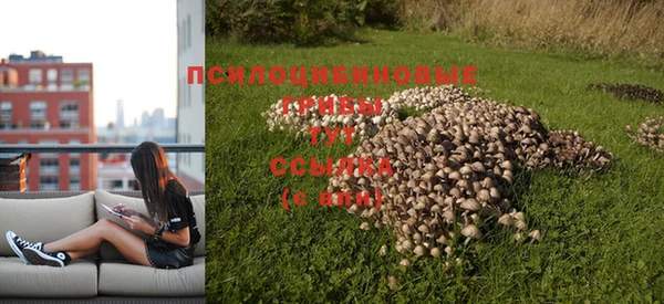 кокаин колумбия Алзамай