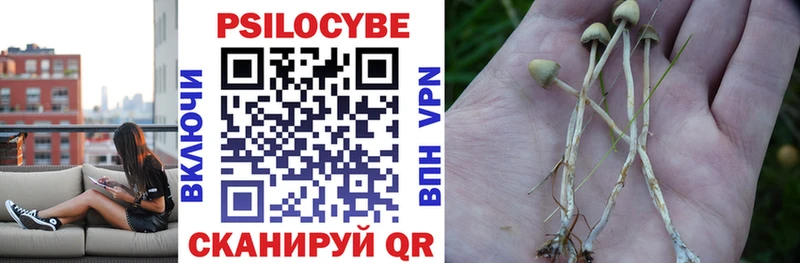 Псилоцибиновые грибы Psilocybe  Сенгилей 