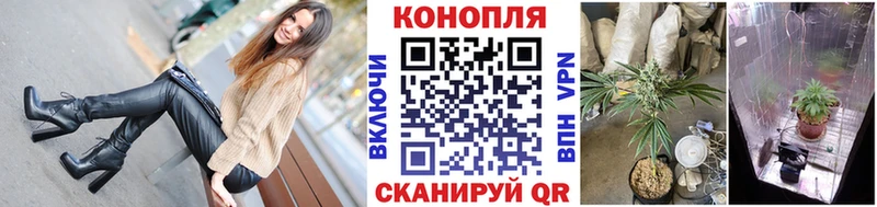 Канабис Amnesia  MEGA ССЫЛКА  Сенгилей 